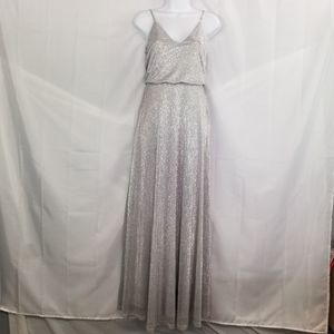 Lulus sparkly silver dress